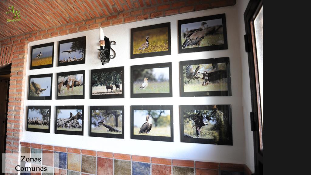 Apartamentos Rurales Monfraguee Torrejón el Rubio Kültér fotó